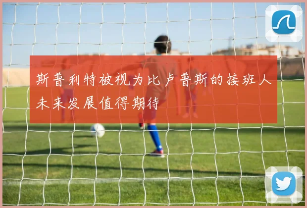 斯普利特被视为比卢普斯的接班人未来发展值得期待