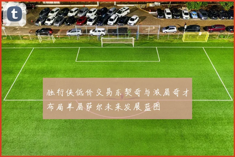 独行侠低价交易东契奇与浓眉奇才布局羊眉萨尔未来发展蓝图