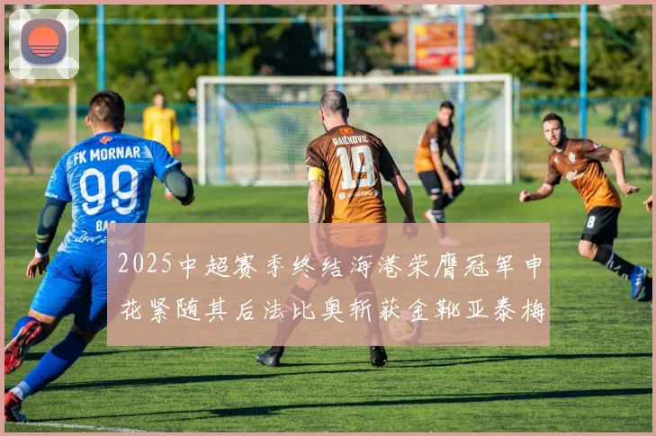 2025中超赛季终结海港荣膺冠军申花紧随其后法比奥斩获金靴亚泰梅州遗憾降级