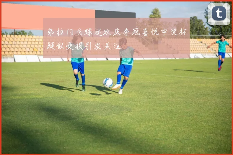 弗拉门戈球迷欢庆夺冠喜悦中奖杯疑似受损引发关注