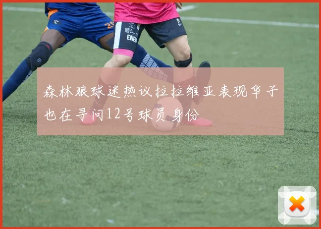 森林狼球迷热议拉拉维亚表现华子也在寻问12号球员身份